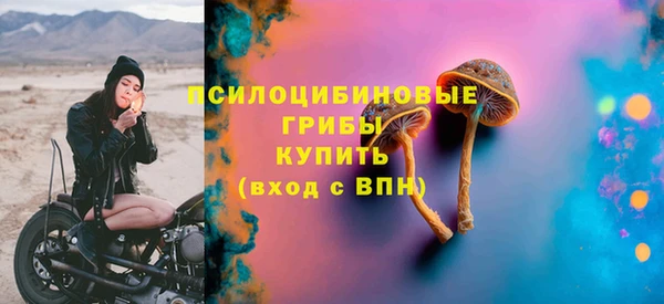 эйфоретик Богданович