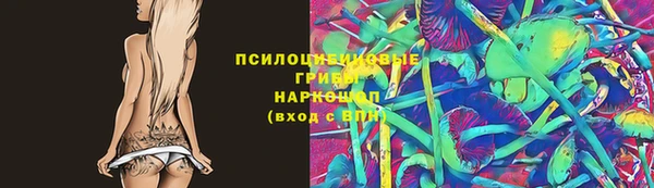 эйфоретик Богданович
