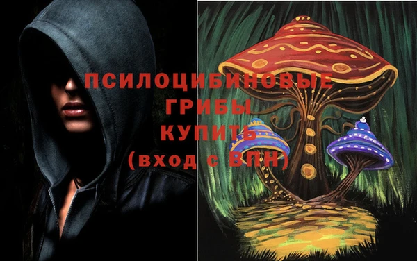 мдма Бородино